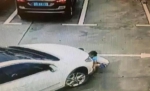 女司机停车时低头玩手机 3名小孩停车场遭碾压 - 新浪黑龙江