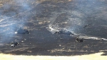 美军侦察机“黑寡妇”训练时坠机　飞行员一死一伤 - 哈尔滨新闻网