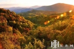 国庆长假来临 黑龙江公布十个五花山最佳观赏点 - 人民政府主办