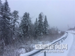 雪乡降大雪雪厚10厘米 - 哈尔滨新闻网