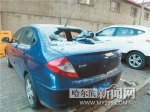 一夜之间阳光绿景小区20余车莫名被砸 - 哈尔滨新闻网