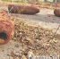 残土堆里挖出三枚“炮弹” - 哈尔滨新闻网
