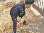 哈尔滨三名工人挖出三枚炮弹 吓得没报警就跑了 - 新浪黑龙江