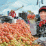 大同镇西红柿卖进上海 每斤最高卖3元最低1.5元 - 新浪黑龙江