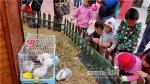 儿童乐园：百货业抗“衰”神器 - 哈尔滨新闻网