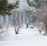 【视觉志】好雪片片不落别处——哈工大雪景图 - 哈尔滨工业大学