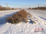 大庆遭大雪袭城 最考验驾驶技术的路段在这里 - 新浪黑龙江