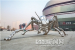 万只“蚂蚁”将集聚西城红场 - 哈尔滨新闻网