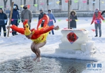 全民健身——欢乐冬泳度新春 - 哈尔滨新闻网
