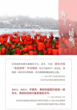 习近平的“花”之喻 - 哈尔滨新闻网
