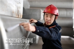 劳动者：亮丽冰城最美的绽放 - 哈尔滨新闻网