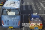1600台次黄标车违法上道被摄录 - 哈尔滨新闻网