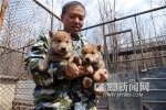 34只动物宝宝上“幼儿园” - 哈尔滨新闻网