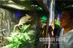 家中饲养400只宠物蜥蜴 - 哈尔滨新闻网
