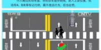 哈尔滨车行斑马线不让行人将被罚 交警部门权威解读 - 新浪黑龙江