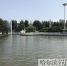 文化公园建了个“婚恋广场” - 哈尔滨新闻网