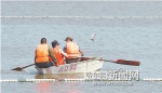 外滩湿地建“江鸥食堂” - 哈尔滨新闻网