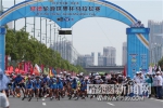 轮滑世界杯马拉松在哈开赛 - 哈尔滨新闻网