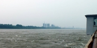 哈尔滨市全力应对突发强降雨 确保安全度过汛期 - 新浪黑龙江