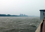 哈尔滨市全力应对突发强降雨 确保安全度过汛期 - 新浪黑龙江
