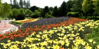 哈尔滨北方森林动物园园内30多种花卉盛开 - 哈尔滨新闻网