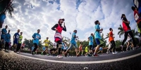 齐齐哈尔·扎龙丹顶鹤国际半程马拉松赛9月10日活力开跑 - 体育局