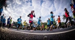 齐齐哈尔·扎龙丹顶鹤国际半程马拉松赛9月10日活力开跑 - 体育局