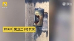 哈尔滨夫妻散步挎包内三星手机爆炸 当场拍视频留证 - 新浪黑龙江