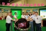 今日哈尔滨绿色食品展销会在郑州隆重开幕 - 商务局