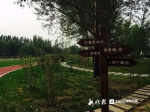 哈尔滨新区中心公园来了 亭台水榭堪比湿地景色(图) - 新浪黑龙江