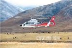 哈飞AC312E直升机攻克试飞最难关 - 哈尔滨新闻网