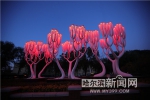 会发光的“树”亮相母亲广场 - 哈尔滨新闻网