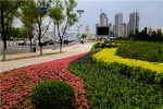 绣绘绿色蓝图 建设美丽城市 - 哈尔滨新闻网