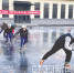 孩子们 上冰了 - 哈尔滨新闻网