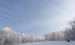 哈尔滨周边这些雪场已开 景美雪白空气好 - 新浪黑龙江