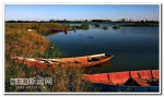 明年哈尔滨人要拥有一座“魅力不夜岛” - 新浪黑龙江