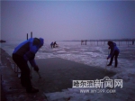 冰河“晨游” 最酷的冬泳 - 哈尔滨新闻网