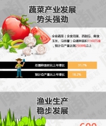 2017黑龙江农业成绩单：结构调整成效加速释放 - 人民政府主办