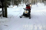 “亚布力滑雪”就是金名片，真管用！ - 哈尔滨新闻网
