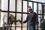 北方森林动物园给动物过圣诞 走心的礼物装在这里 - 新浪黑龙江