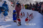 极地馆将推出世界首个“企鹅情景剧” - 哈尔滨新闻网