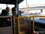 哈尔滨56、383路新车上线运行 票价都不变 - 新浪黑龙江
