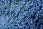 【今日立春】漂亮！昨天哈尔滨冰河开花了 | 你知道为什么叫“打春”吗？ - 哈尔滨新闻网