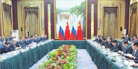 中俄地方合作交流年开幕 汪洋与俄副总理特鲁特涅夫会晤并出席开幕式 - 发改委