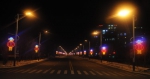 哈市巴彦县家家都有“灯光秀” 700盏璀璨彩灯过大年 - 新浪黑龙江