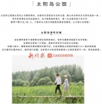 俩美女摄影师给出“哈尔滨拍摄胜地”攻略 5万人点赞 - 新浪黑龙江