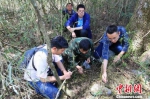 工作人员搜集大熊猫痕迹 黄刚 摄 - 新浪黑龙江