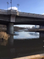 哈尔滨套牌的哥10米高桥跳江 交警堵截一查竟是网逃 - 新浪黑龙江