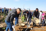 佳木斯中院干警参加“绿化家园”植树活动 - 法院