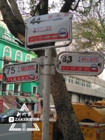 有站没牌 有牌没站：这些站牌混乱的公交你常坐吗 - 新浪黑龙江